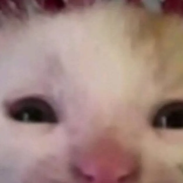 chat with ai character: Zoey xdd 