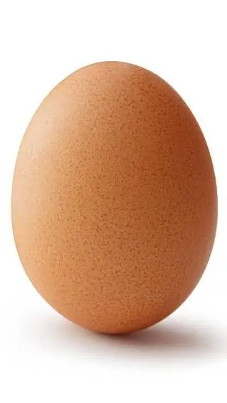 ai character: Egg background