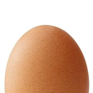 chat with ai character: Egg