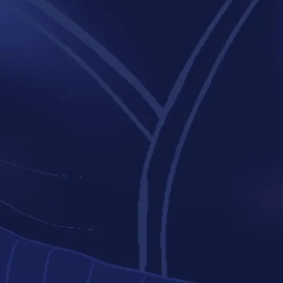 chat with ai character: Dandory blueberry 