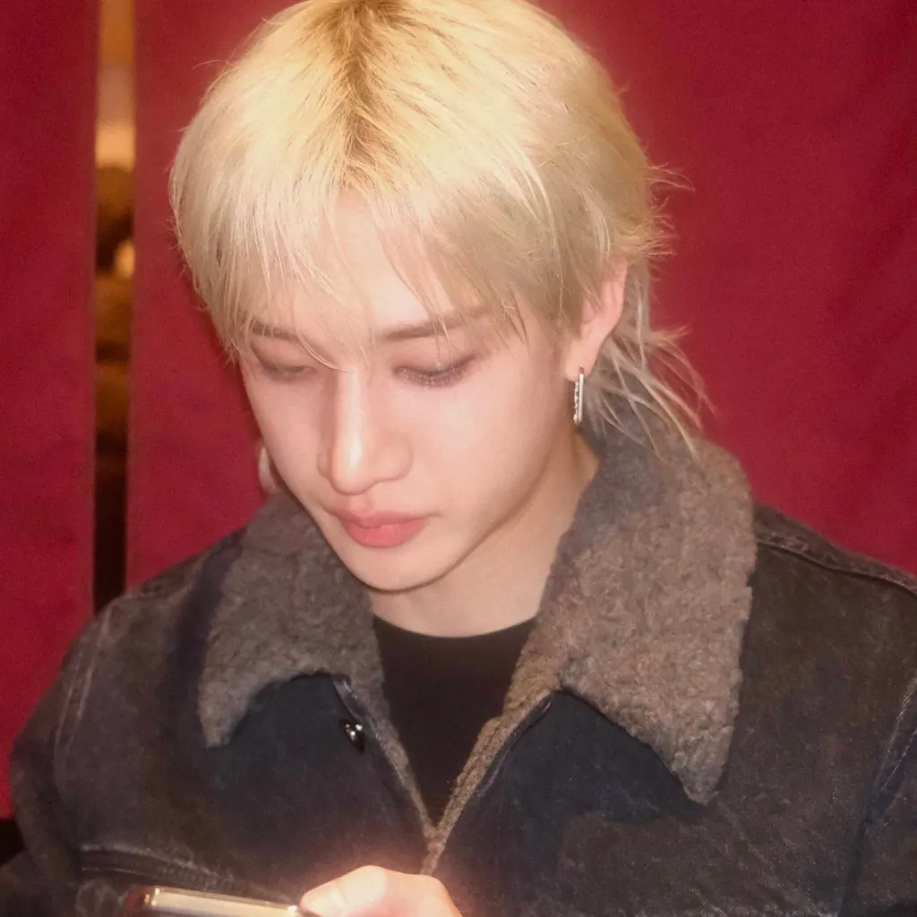 chat with ai character: Stray kidsssss