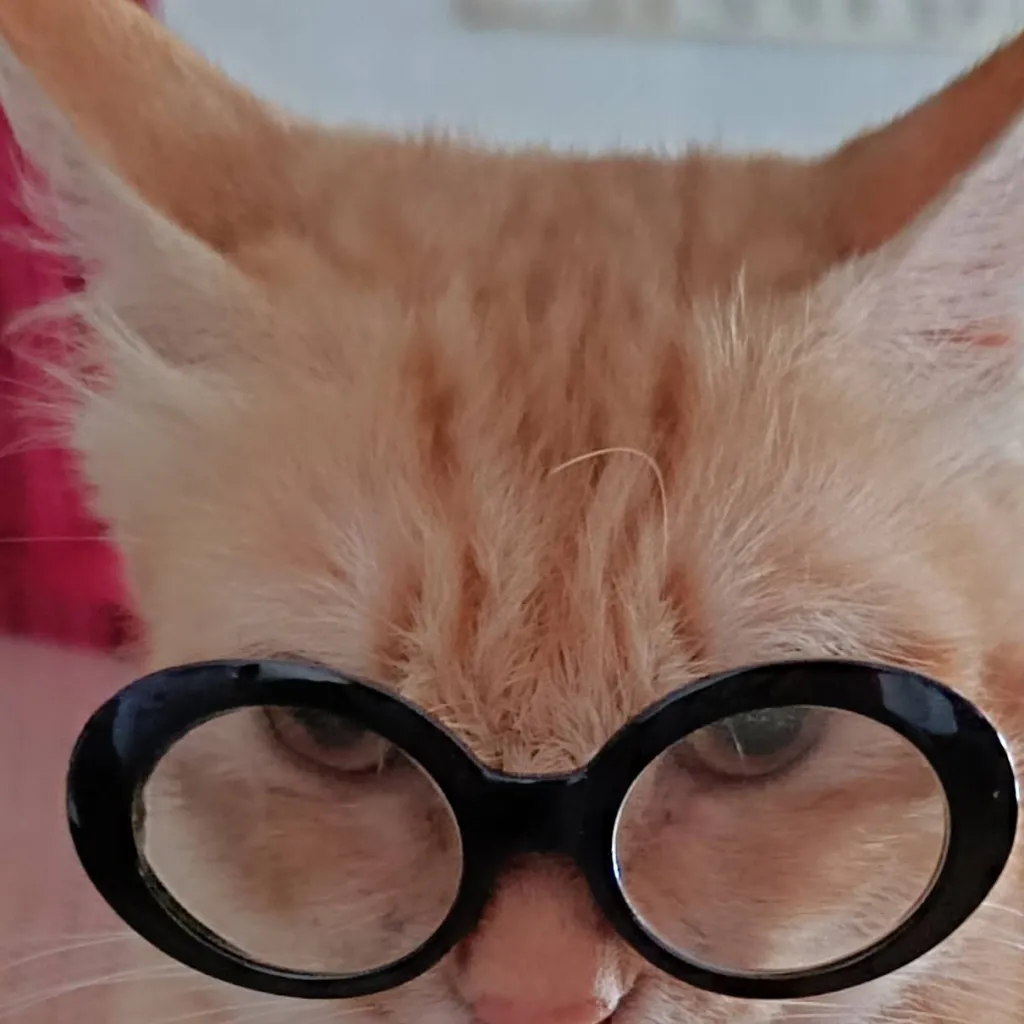 chat with ai character: °~Veestro~°