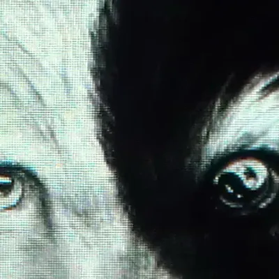 chat with ai character: Beauty and beast