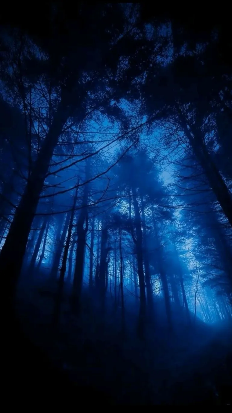 ai character: Emily background