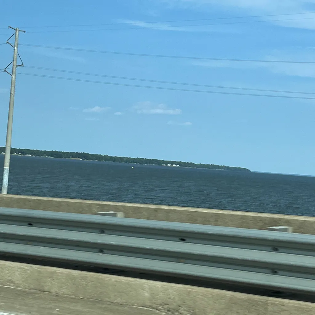 chat with ai character: EMMY 