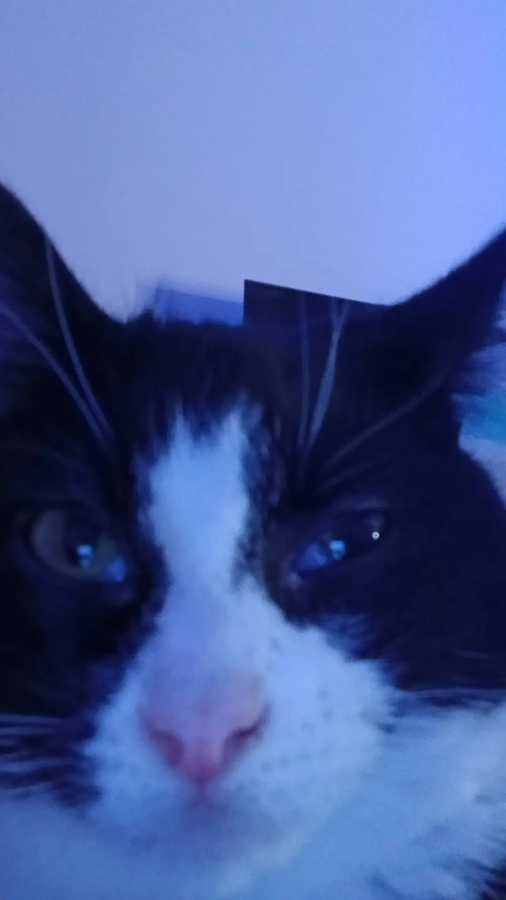 ai character: Santa background