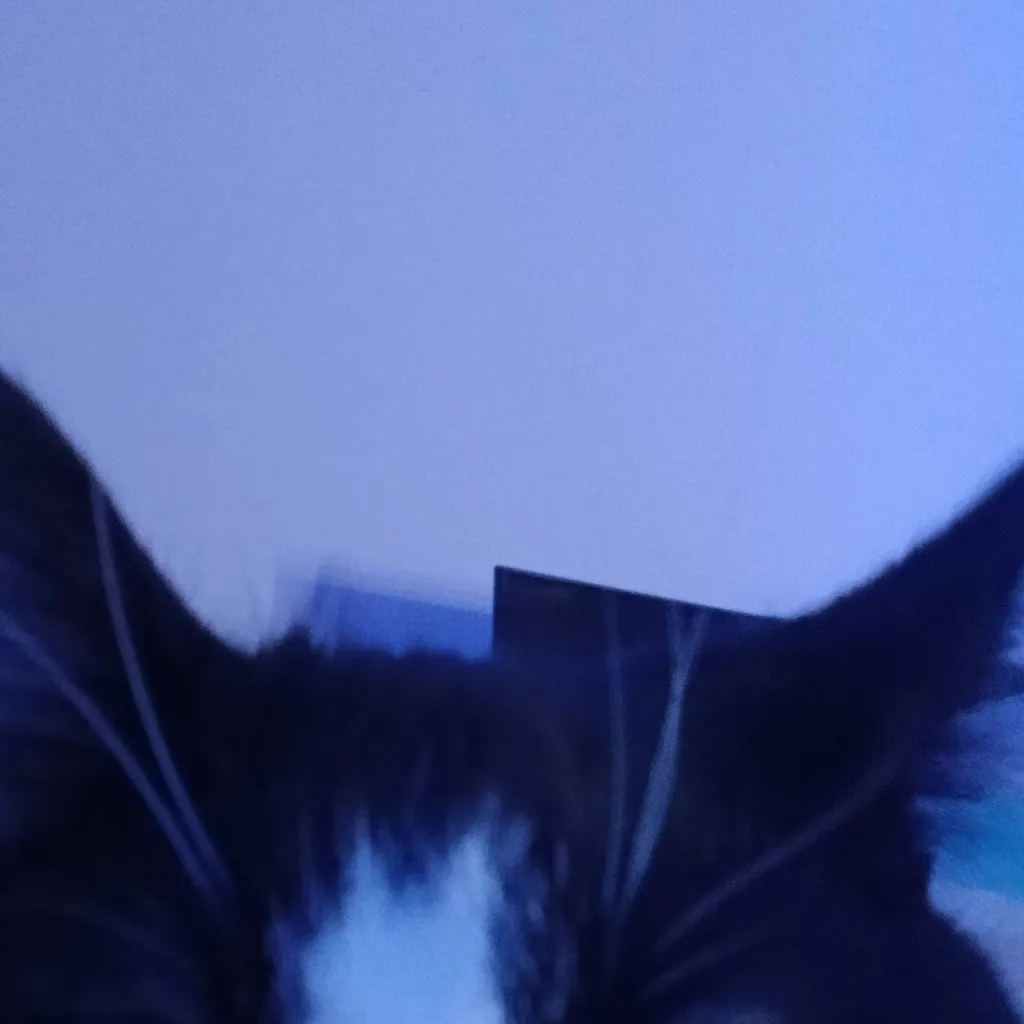 chat with ai character: Santa