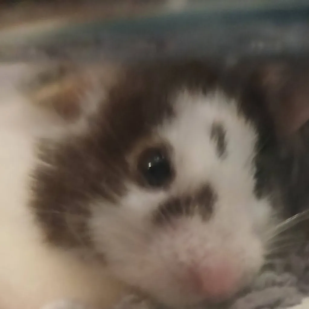 chat with ai character: my hamster