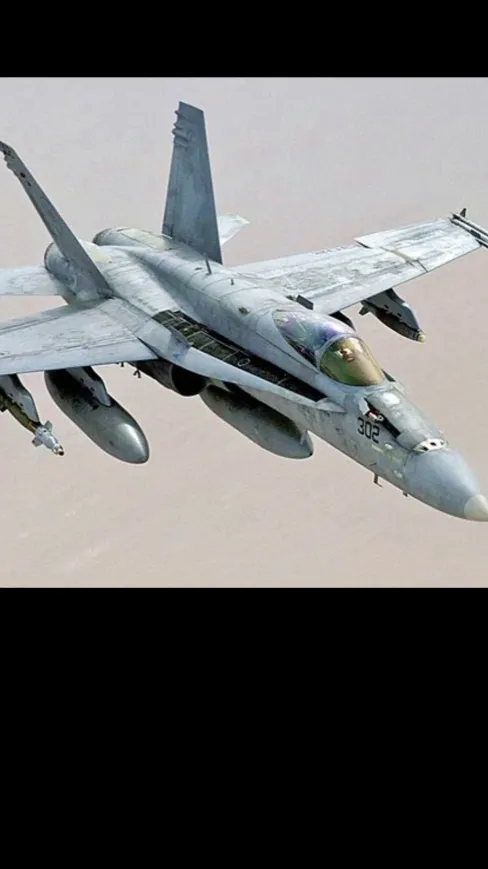 ai character: Training/dogfight background