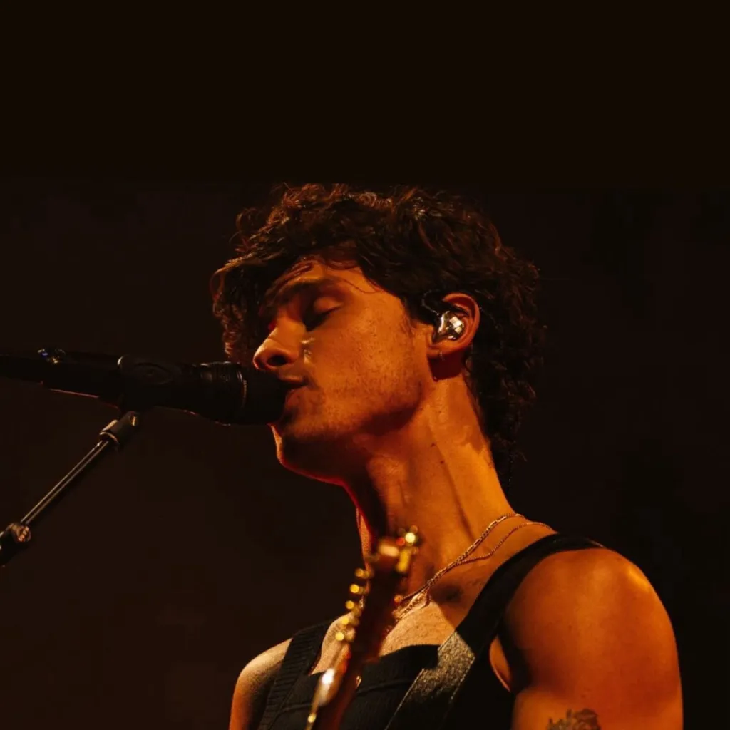 chat with ai character: Shawn Mendes