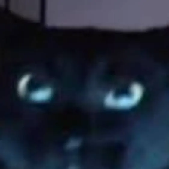 chat with ai character: Cat (Loves Food)