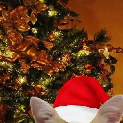 chat with ai character: mha Christmas. 