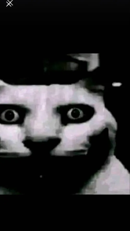 ai character: a haunted cat👻 background