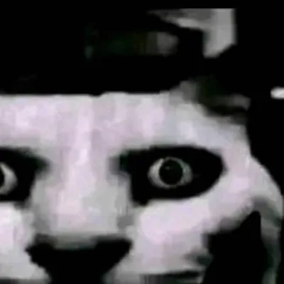 chat with ai character: a haunted cat👻