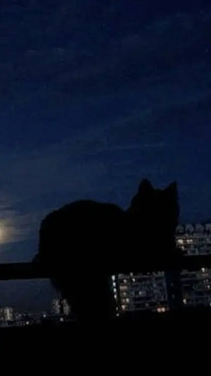 ai character: friends x BL user background