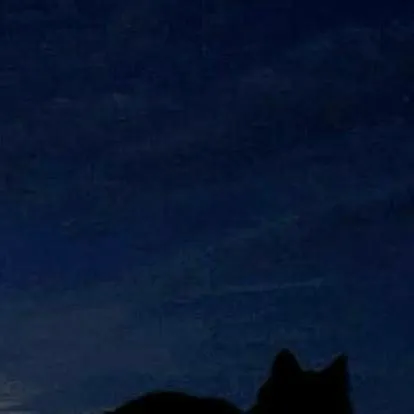 chat with ai character: friends x BL user