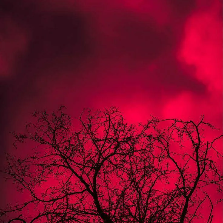 chat with ai character: birthday party