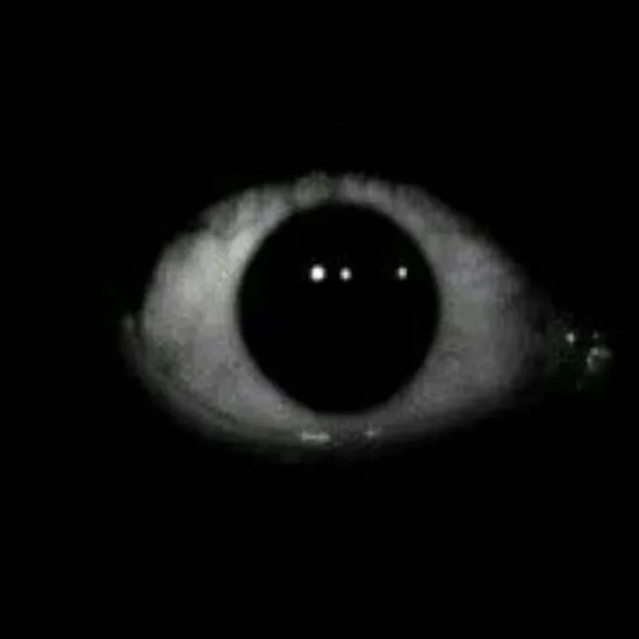 chat with ai character: 👁️‍🗨️