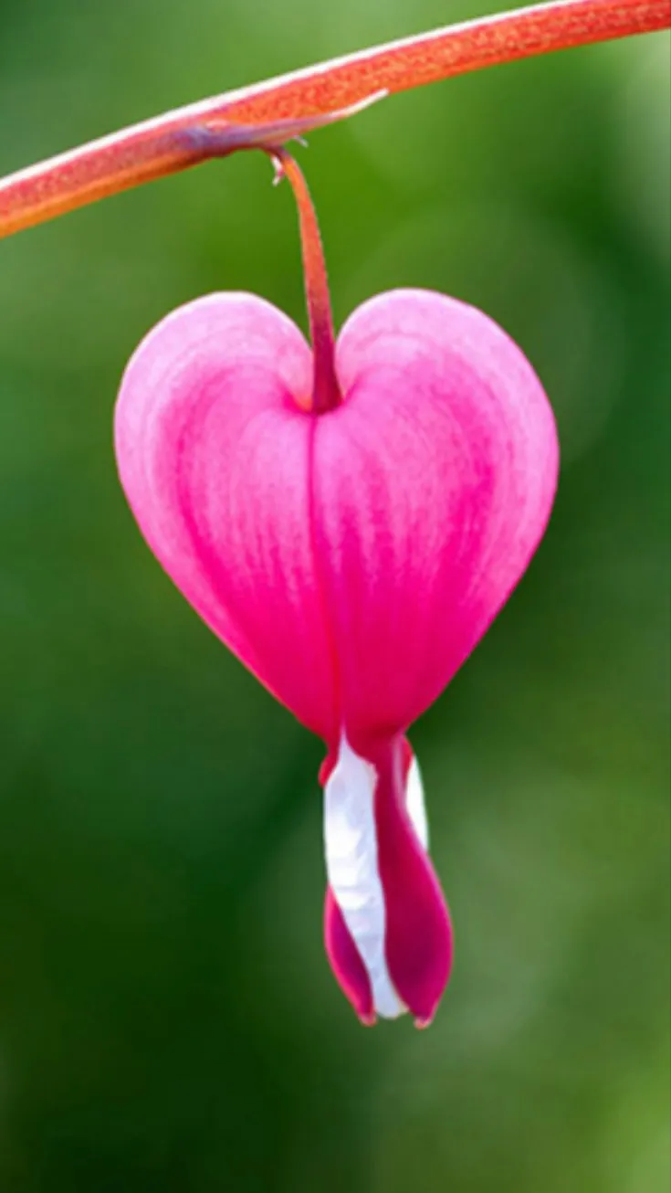 ai character: Betrayal  background