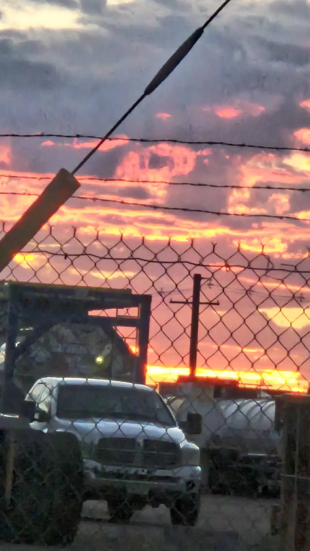 ai character: Queen Lia background