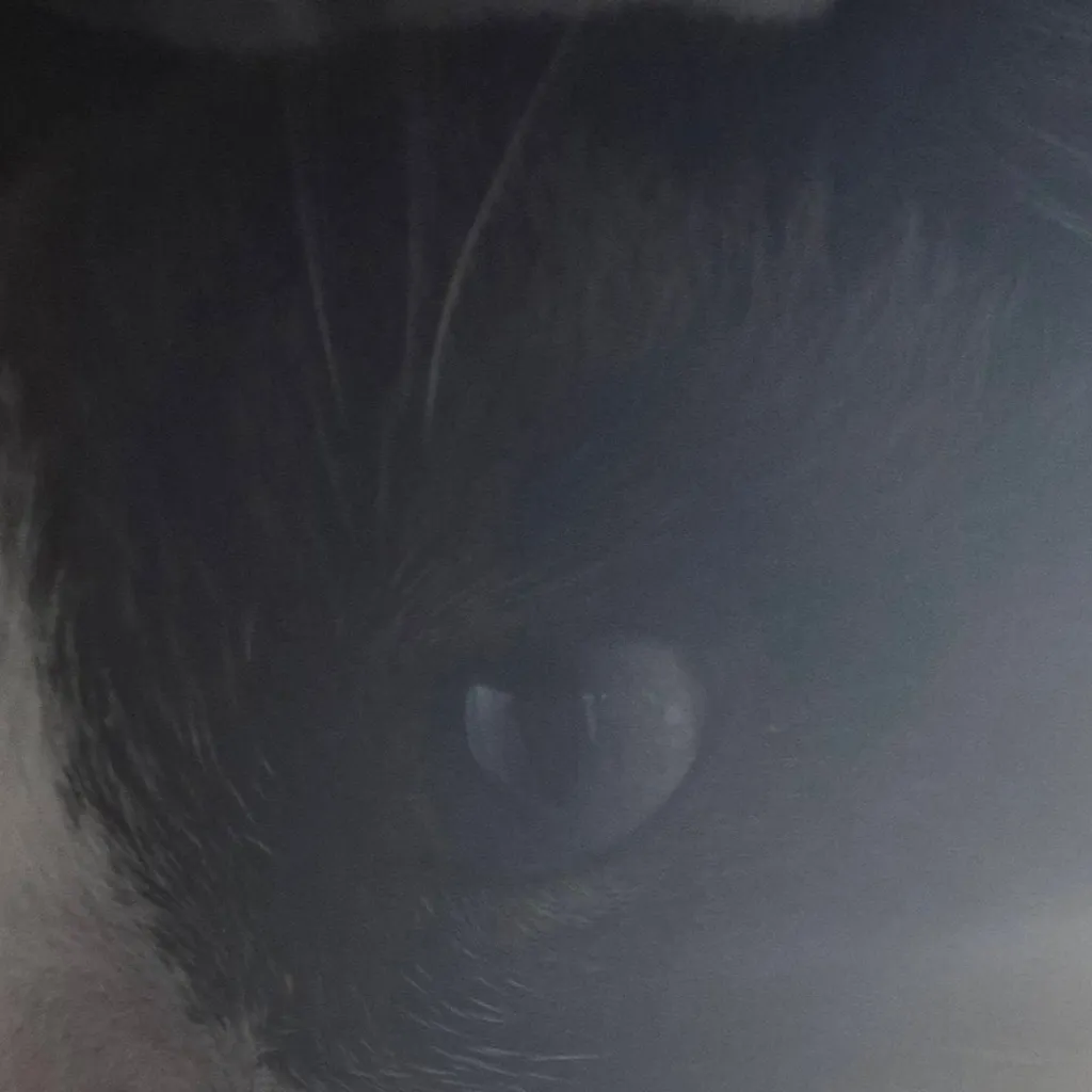 chat with ai character: Oreo (Potato)