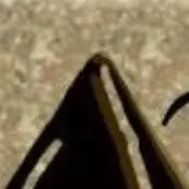 chat with ai character: The Tribe.