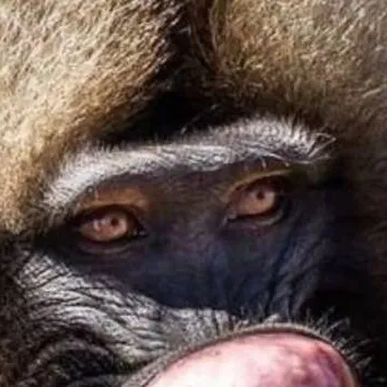 chat with ai character: Ben