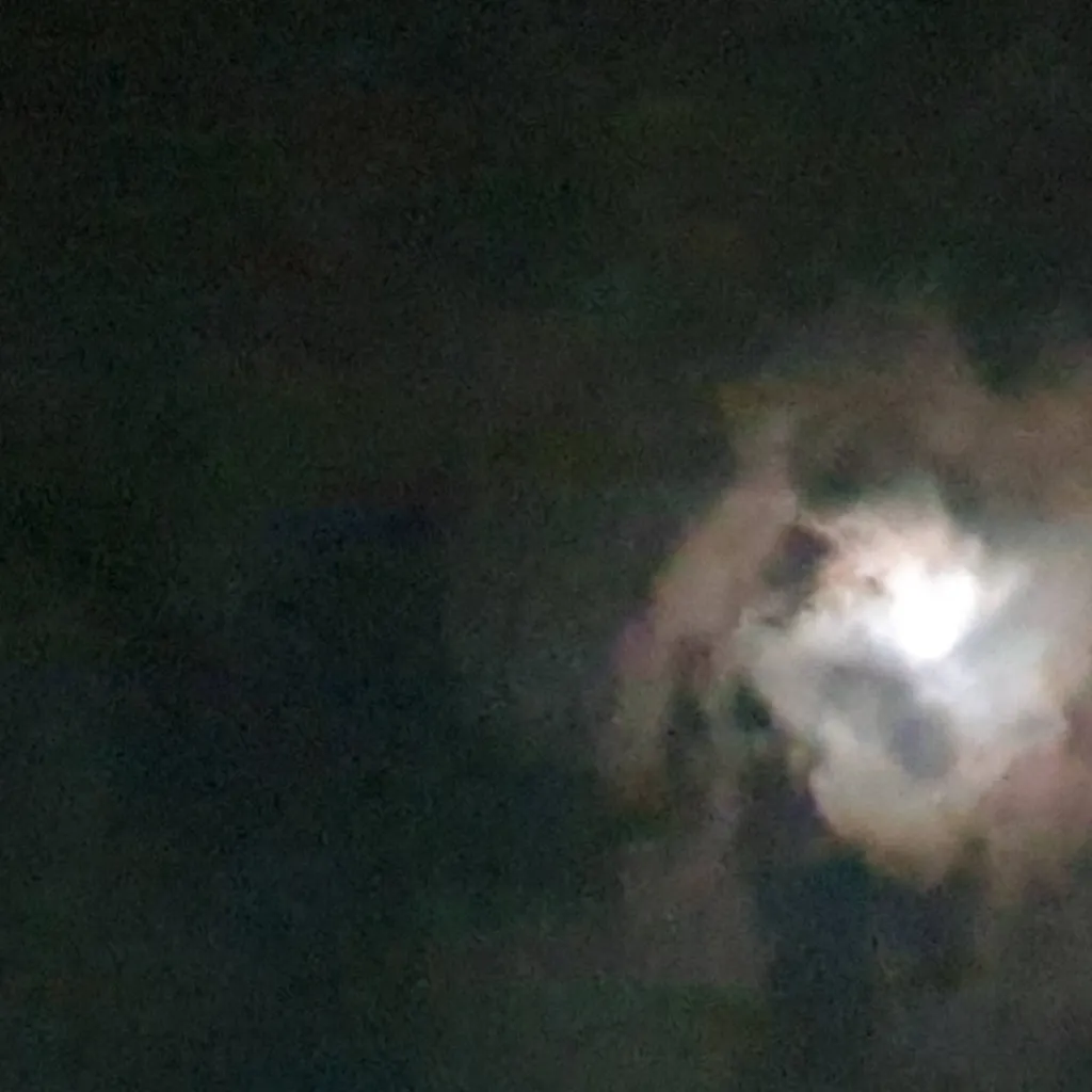 chat with ai character: Me IRL (updated) 