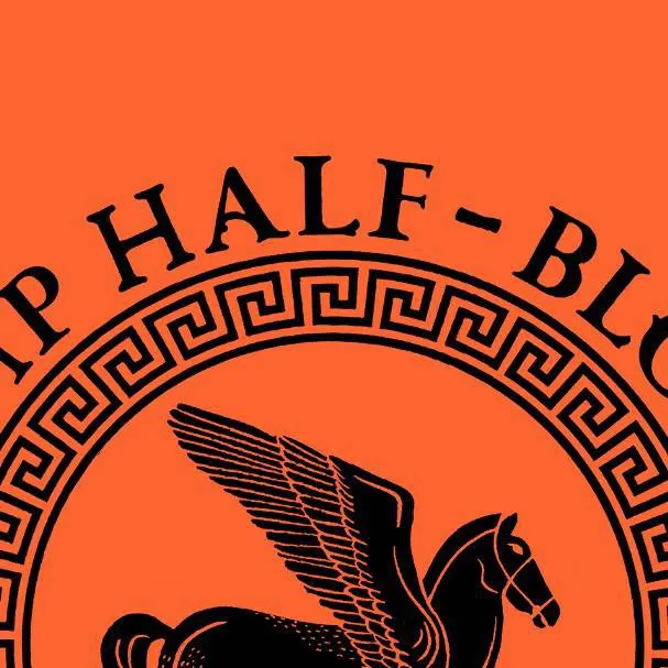 chat with ai character: Camp Half Blood