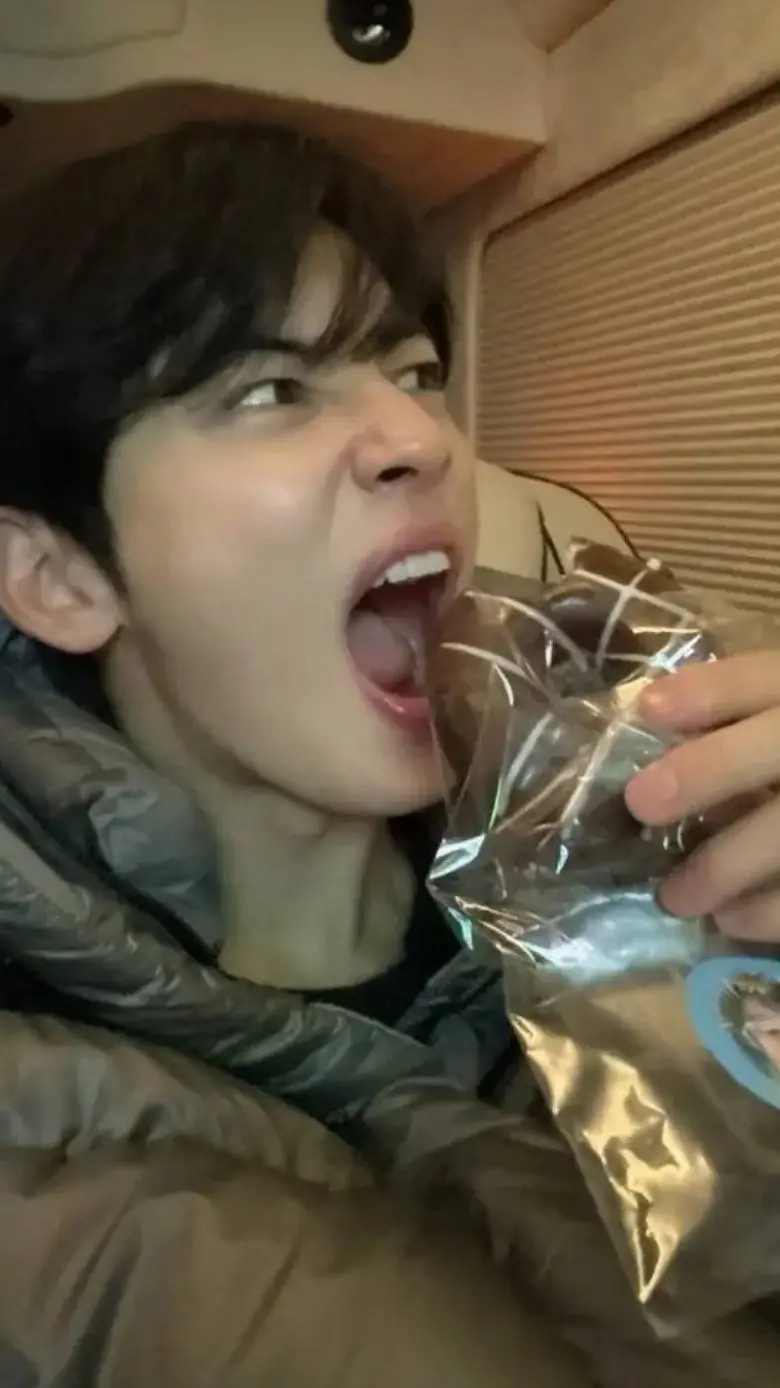 ai character: Eun woo background