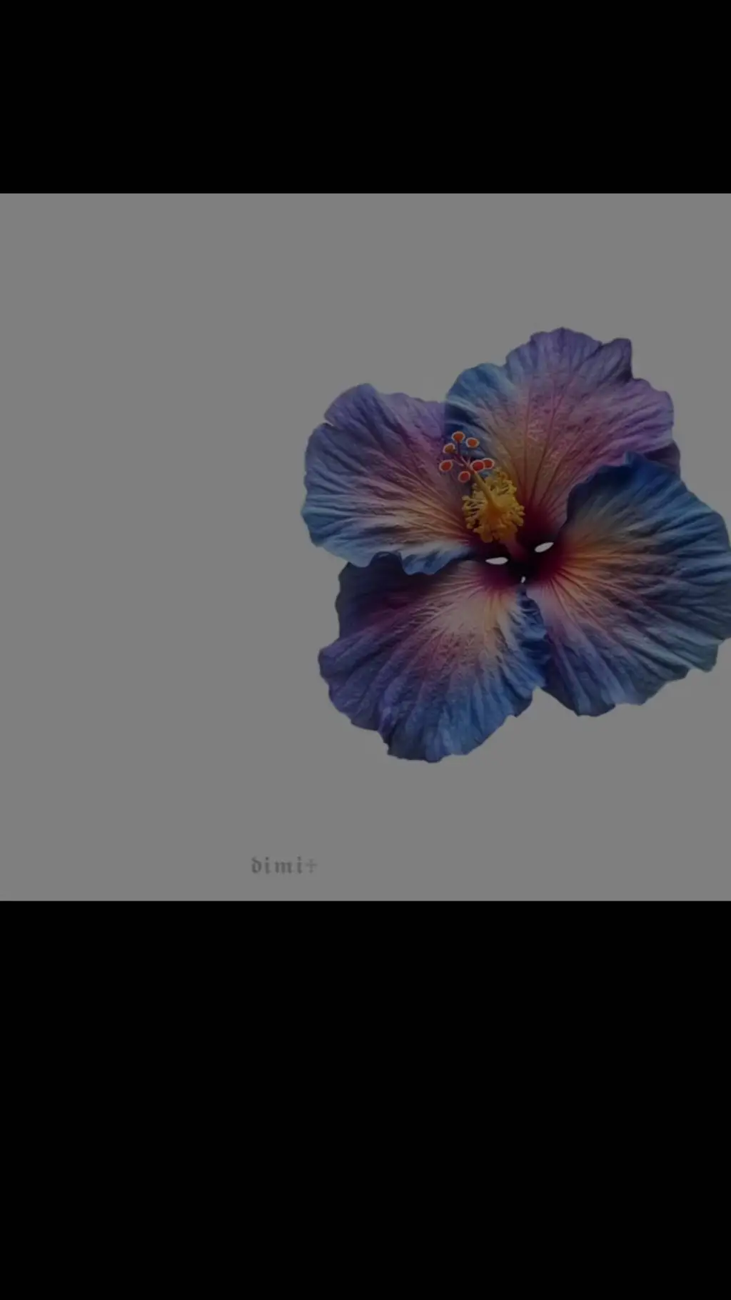 ai character: BSDxfantasy au. background