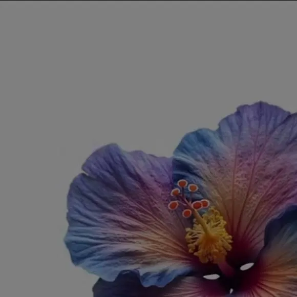 chat with ai character: Villager chuuya?