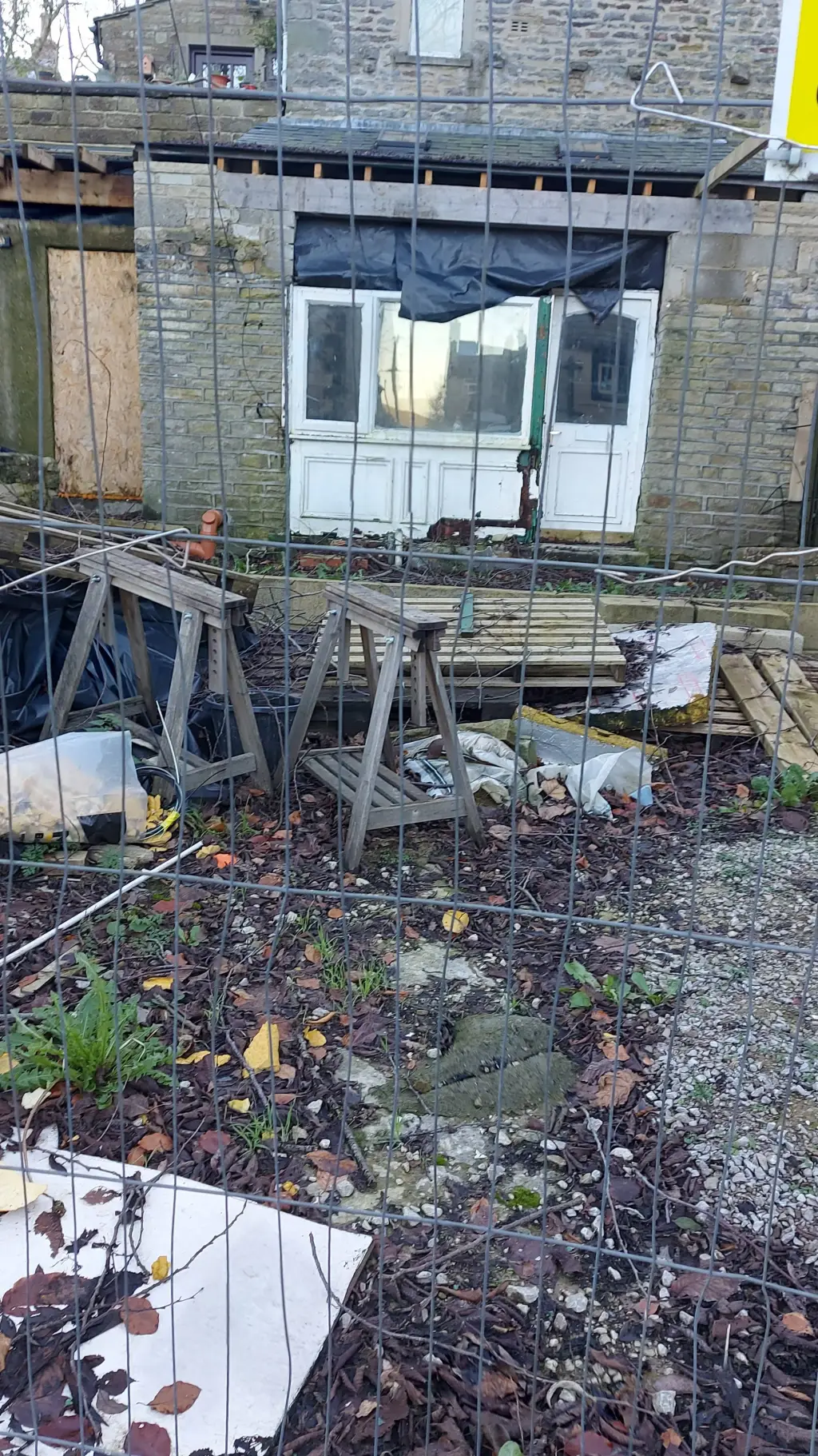 ai character: Anything?????  background