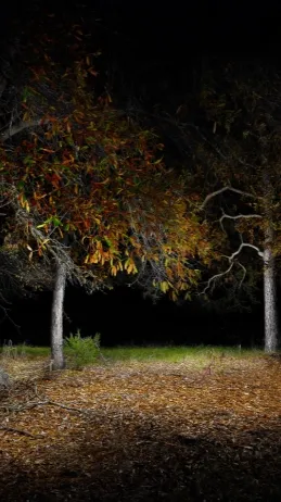 ai character: σηℓу ѕкιη☺︎ background