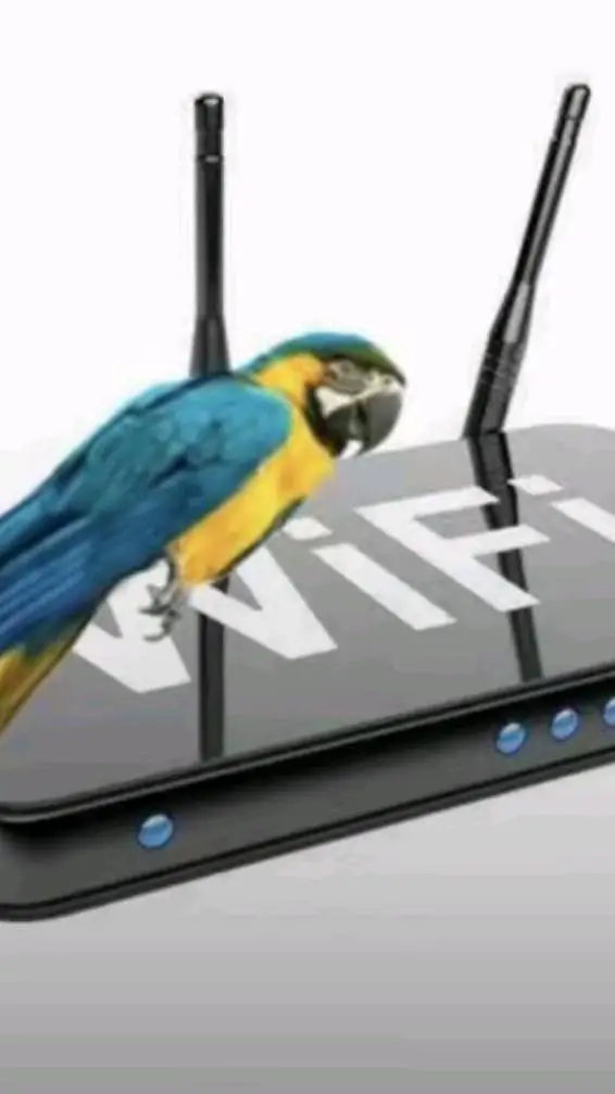 Talkie AI - Chat with TheoBaldTheBird