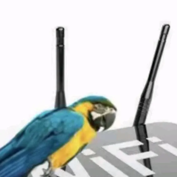 chat with ai character: TheoBaldTheBird