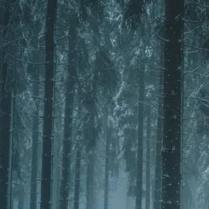 chat with ai character: Danger Forest