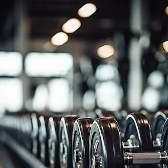 chat with ai character: academia