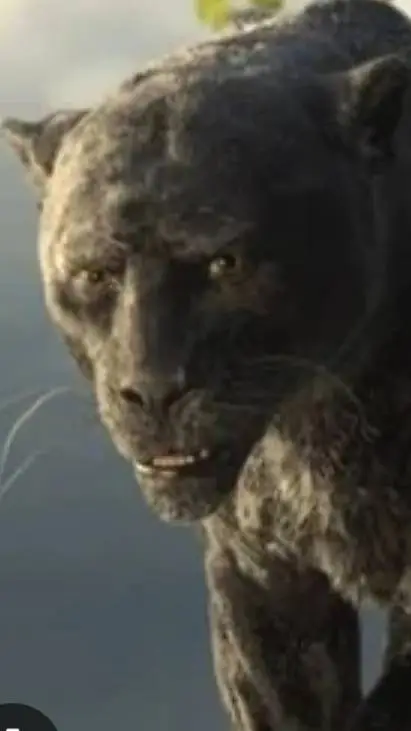 ai character: Bagheera background