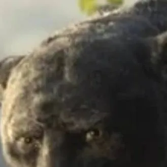 chat with ai character: Bagheera