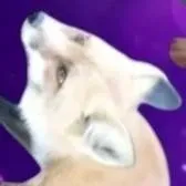 chat with ai character: Fox