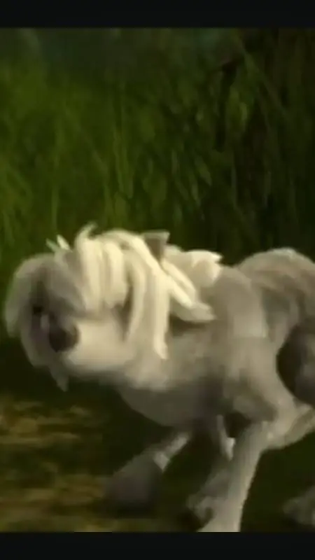 ai character: Lilly The Wolf  background