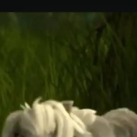 chat with ai character: Lilly The Wolf 