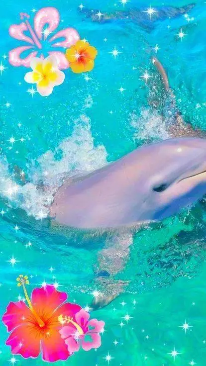 ai character: chat with dolphins background