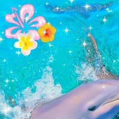 chat with ai character: chat with dolphins