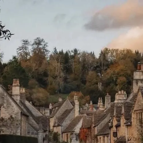 chat with ai character:  Meadow Village￼