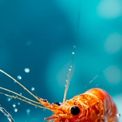 chat with ai character: Adopt a shrimpo!