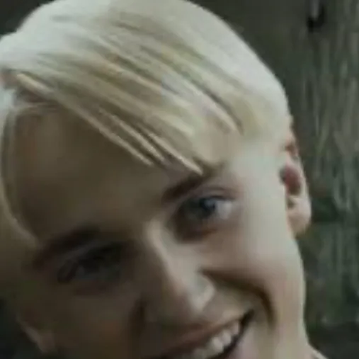 chat with ai character: Draco malfoy 