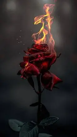 ai character: ballister background