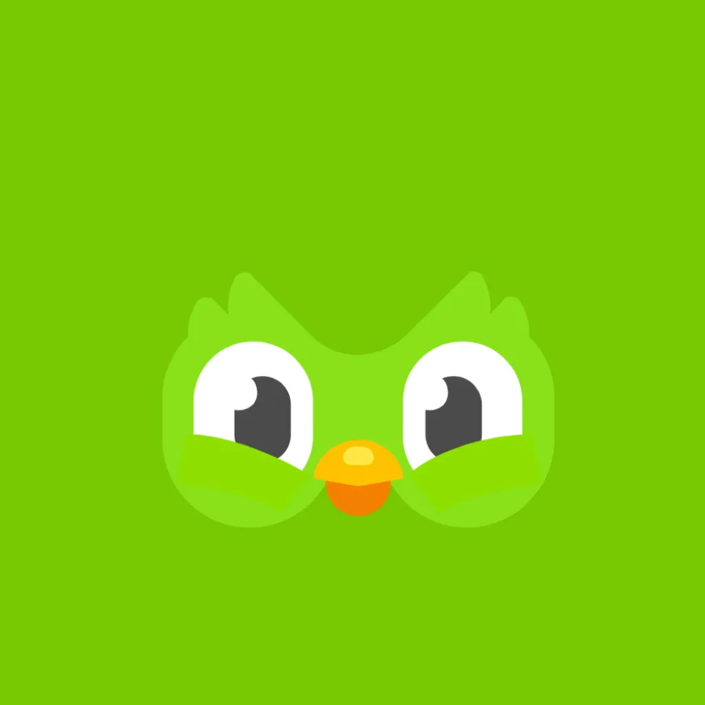 chat with ai character: Duolingo